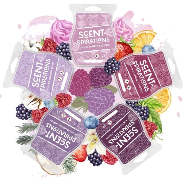 Scent-Spirations Scentsy Black Raspberry Vanilla Bundle Styled