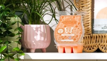 Sunshine Mango Scentsy Wax Of The Month