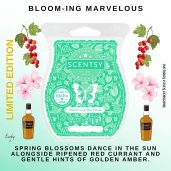 Bloom-ing Marvelous Scentsy Bar