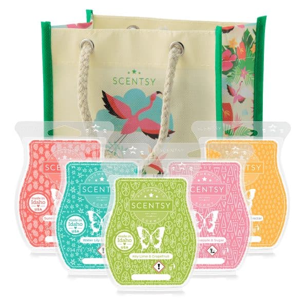 Coming Soon To Scentsy
