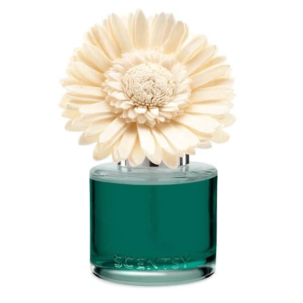 Water Lily & Bergamot Dainty Daisy Fragrance Flower