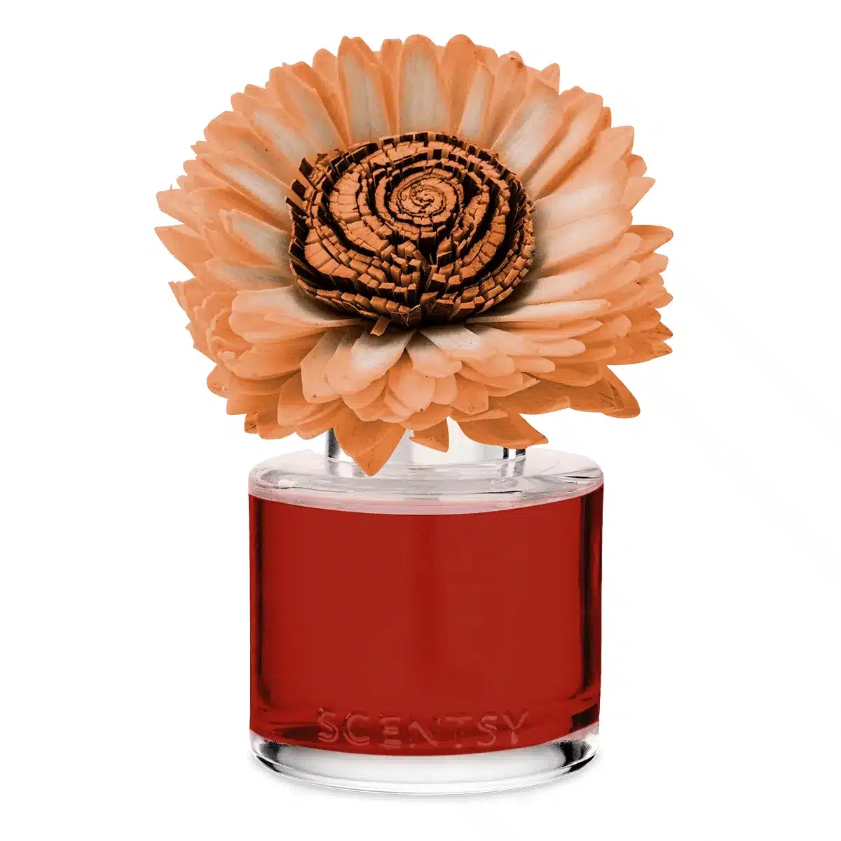 Apple Spice Season - Stunning Sunflower Fragrance Flower Apple Spice Season - Stunning Sunflower Fragrance Flower