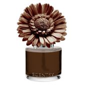 Cinnamon Woods - Dainty Daisy Fragrance Flower