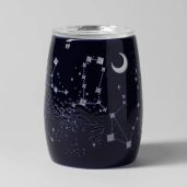 Constellations Scentsy Warmer Switched Off