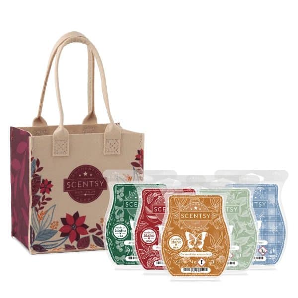 2025 Christmas Scentsy Bar 5 Pack Bundle