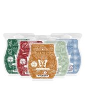 2025 Christmas Scentsy Bar 5 Pack Bundle Wax Melts
