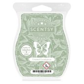 Frosted Eucalyptus Scentsy Wax Bar Melt