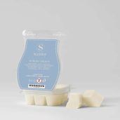 Holiday Shores Scentsy Wax Bar