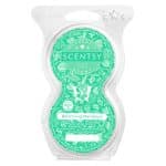 Aloha Orchid Scentsy Pod Twin Pack - The Candle Boutique - Scentsy UK ...