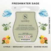 Freshwater Sage Scentsy Wax Bar
