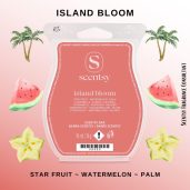 Island Bloom Scentsy Wax Bar