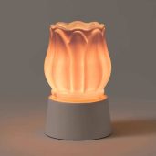 Prismatic Petal Scentsy Warmer with Tabletop Base Dark Setting