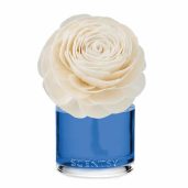 Coastal Rain Cove – Prim Posy Fragrance Flower New