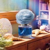 Coastal Rain Cove – Prim Posy Fragrance Flower