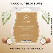 Coconut Blossoms Scentsy Wax Bar