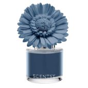 Quaint Country Rain - Dainty Daisy Fragrance Flower