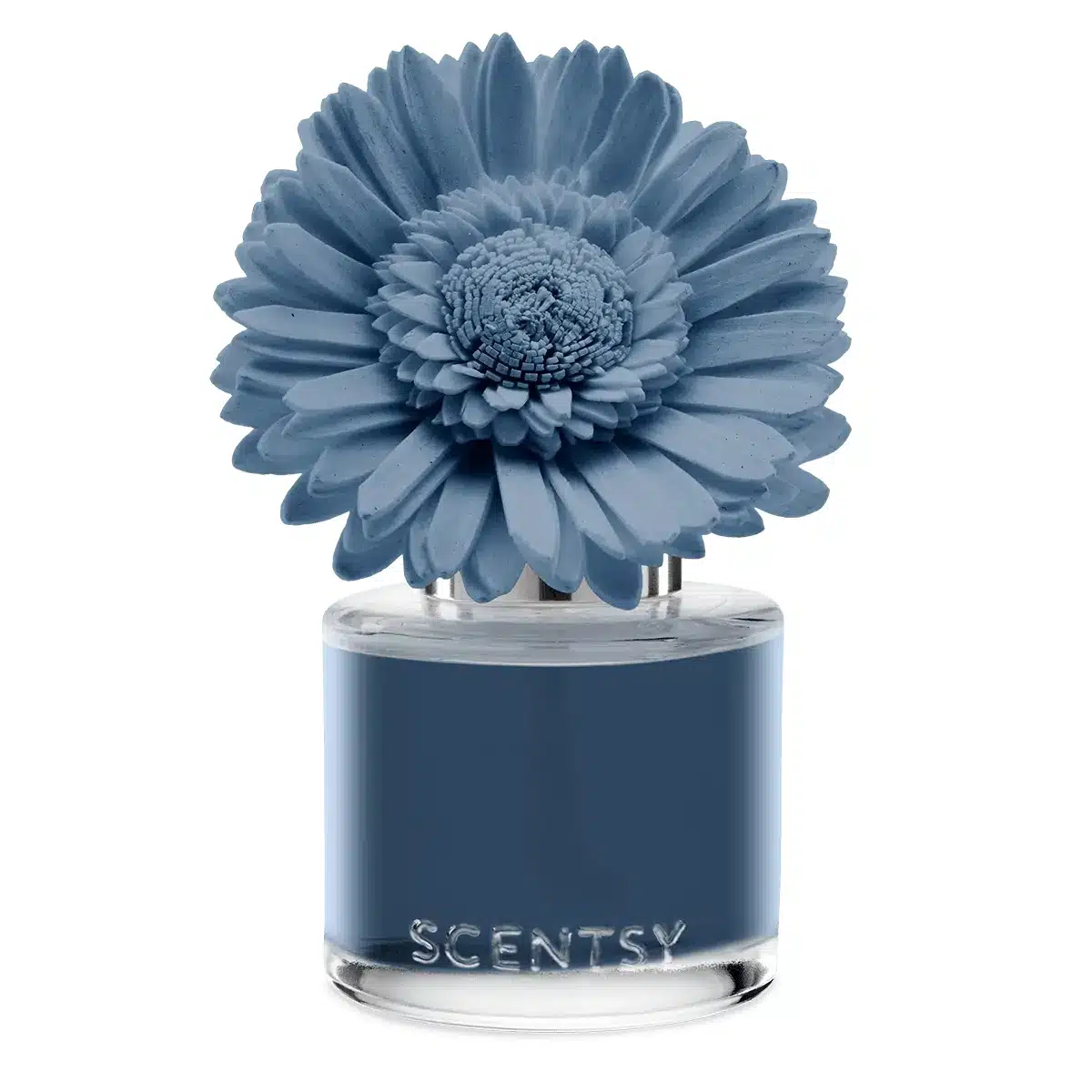 Quaint Country Rain - Dainty Daisy Fragrance Flower Quaint Country Rain - Dainty Daisy Fragrance Flower