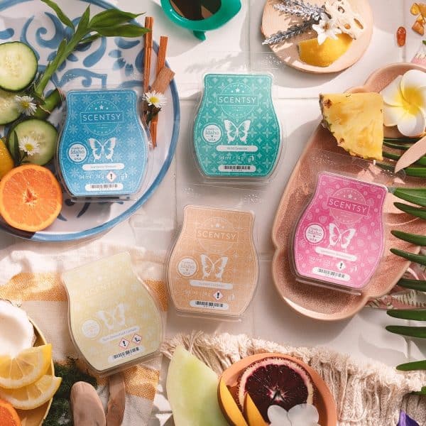 Destinations Scentsy Bar 5-pack