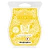 Lemon Sugar & Sage Scentsy Bar (June Scent of the Month)