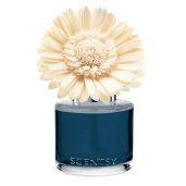 Sorrento Breeze Scentsy Dainty Daisy Fragrance Flowers