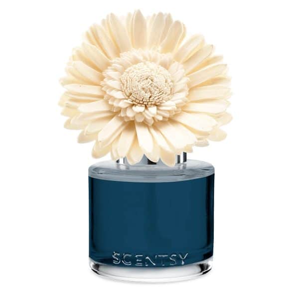 Sorrento Breeze Scentsy Dainty Daisy Fragrance Flowers