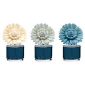 Sorrento Breeze Scentsy Dainty Daisy Fragrance Flowers Colour Change