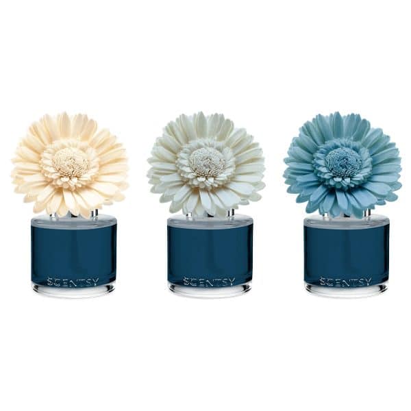Sorrento Breeze Scentsy Dainty Daisy Fragrance Flowers Colour Change