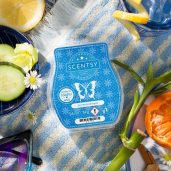 Sorrento Breeze Scentsy Wax Bar Melt