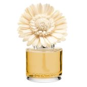 Sun-Drenched Cotton Scentsy Dainty Daisy Fragrance Flowers