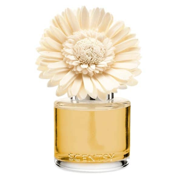Sun-Drenched Cotton Scentsy Dainty Daisy Fragrance Flowers