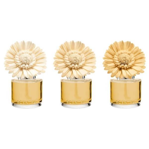Sun-Drenched Cotton Scentsy Dainty Daisy Fragrance Flowers