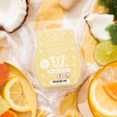 Sun-Drenched Cotton Scentsy Wax Bar Melt