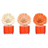 Sunset Cocktail Scentsy Dainty Daisy Fragrance Flowers