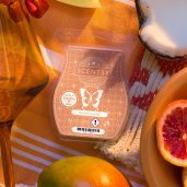 Sunset Cocktail Scentsy Wax Bar Melt