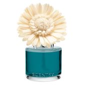 Wild Seaside Scentsy Dainty Daisy Fragrance Flowers