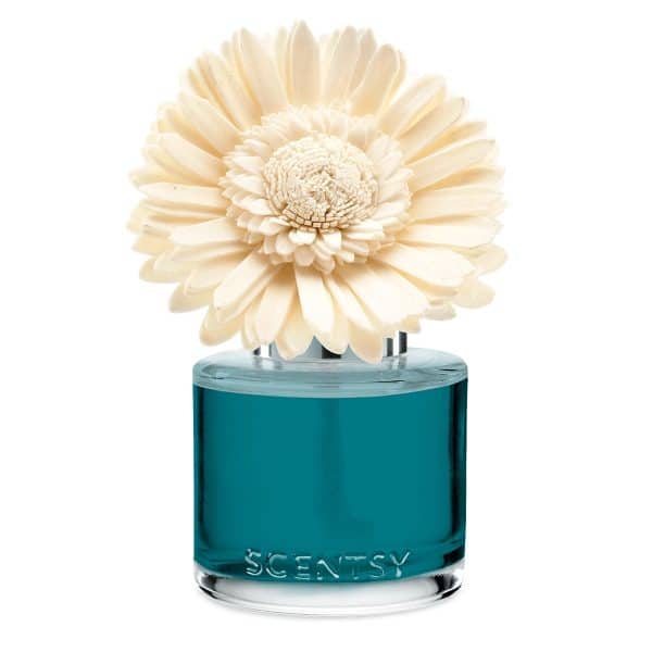 Wild Seaside Scentsy Dainty Daisy Fragrance Flowers
