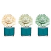 Wild Seaside Scentsy Dainty Daisy Fragrance Flowers
