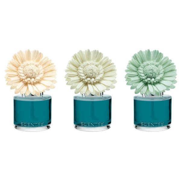 Wild Seaside Scentsy Dainty Daisy Fragrance Flowers
