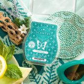Wild Seaside Scentsy Wax Bar Melt