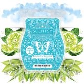 Blue Skies & Bergamot Scentsy Bar