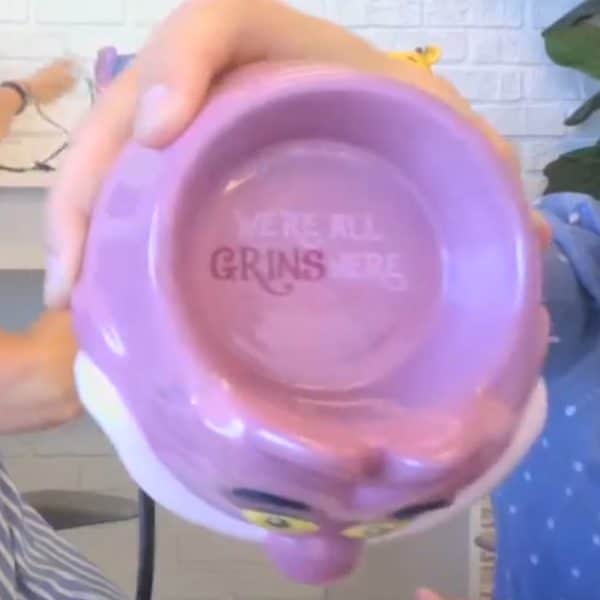 Cheshire Cat Scentsy Wamer Top View - Warm Fuzzies Scentsy Collection