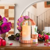 Disney Encanto – Scentsy Warmer - Stylized
