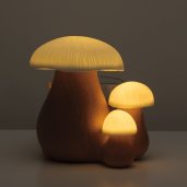 Forest Forage Scentsy Warmer Dark Setting