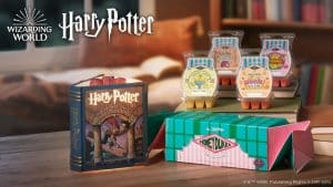 Harry Potter and the Sorcerer’s Stone™ – Scentsy Warmer - Real Life