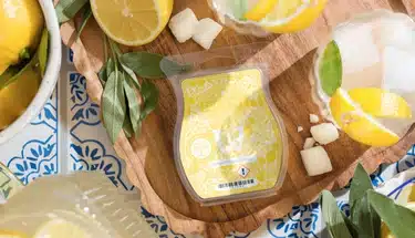 Lemon Sugar & Sage Scentsy Bar - June 2025 Scent Of The Month