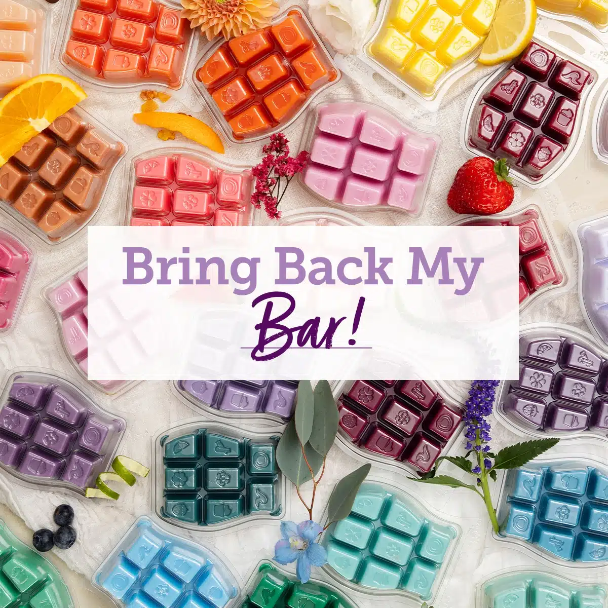 Scentsy BBMB Winners 2025