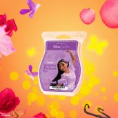 Señorita Perfecta Scentsy Wax Bar