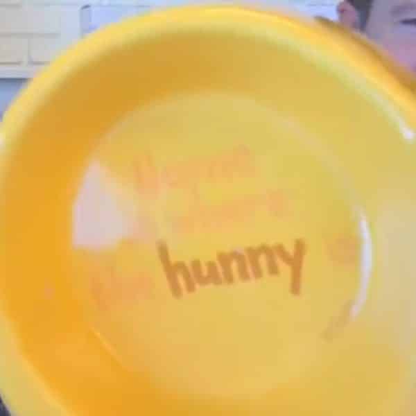 Winnie the Pooh Scentsy Warmer Top View - Warm Fuzzies Scentsy Collection