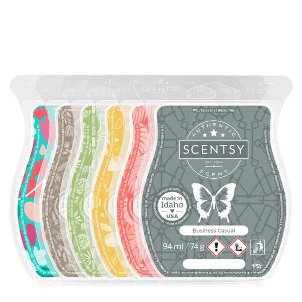 Feel the Mood 6-Bar Scentsy Bundle