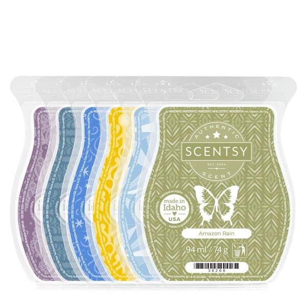 Most Loved 6-Bar Scentsy Bundle